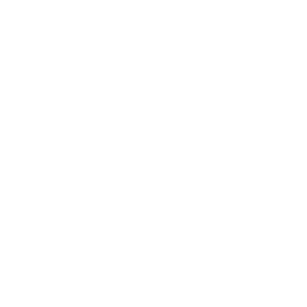 lightphonetrans